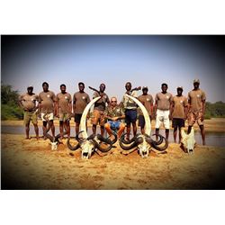 Zimbabwe Save Valley Conservancy Lion Hunt