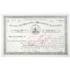 Image 1 : Arizona Co-Operative Mercantile Institution 1889 I/C Stock Certificate, Mormon Trading Company