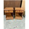 Image 1 : Pair Palliser night stands