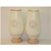 Image 2 : PR. 17" DECORATED BRISTOL PORTRAIT VASES-CREA