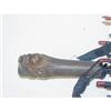 Image 2 : UMBRELLA W/ GERMAN FIGURAL CARVED WOODEN HAND