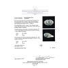 Image 5 : Pearl and Diamond Ring - 14KT White Gold