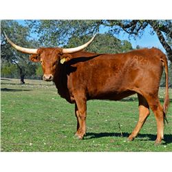 SR PROFICIENT'S TWAIN 924