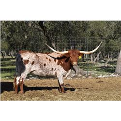 SR 007'S AIR MAXINE 671