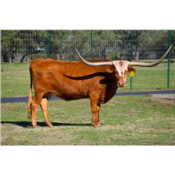 SPLIT ROCK'S SIREN SONG