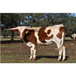 SR PROFICIENT'S FALL 925