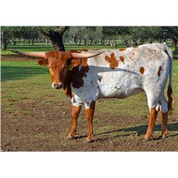 SR TY WEHRING'S SONG 938