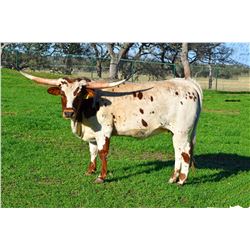 SR PROFICIENT'S LONA 907