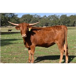 SR CLOUT'S BLAZE 9143