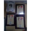 Image 5 : Lot of Picture Frames - Various Sizes