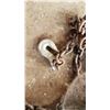 Image 2 : 2 Chains With Hooks Approx. 12'
