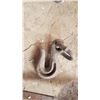 Image 2 : Lot of Assorted Chain Hooks & Misc.