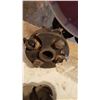 Image 3 : 5 Planer Heads