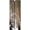 Image 1 : Post Hole Auger With 10' Extension