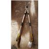 Image 2 : Branch Trimmer - Extendable