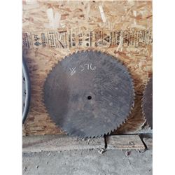 31" Saw Blade