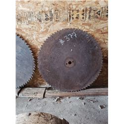 30" Saw Blade