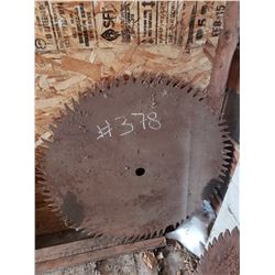 29" Saw Blade