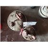 Image 3 : 2 Gas Cans