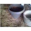 Image 4 : 3 Flower Pots