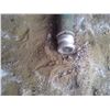 Image 2 : 1 3/4" Hose With Couplers