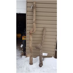 2 Unique Tree Trunks