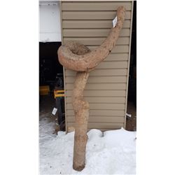 Unique Tree Trunk