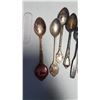 Image 2 : Lot Collectable Spoons