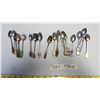 Image 1 : Lot Collectable Spoons