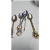 Image 6 : Lot Collectable Spoons