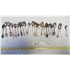 Image 1 : Lot Collectable Spoons