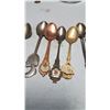 Image 5 : Lot Collectable Spoons