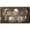Image 1 : Lot 6 1 Gal Jars