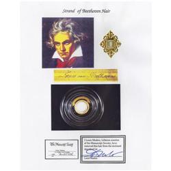 Ludwig von Beethoven Hair