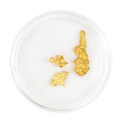Lot of Gold Nuggets 2.35 Grams Total Weight