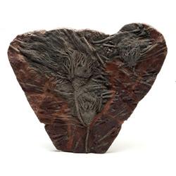 Three Large Floating Crinoids