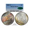 Image 1 : 1881-S $1 Morgan Silver Dollar Coin PCGS MS64 CAC Amazing Toning