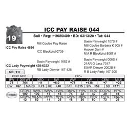 ICC PAY RAISE 044