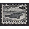 Image 1 : NEWFOUNDLAND #26 XF-LH