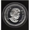 Image 2 : 2004 STERLING SILVER LUCKY LOONIE