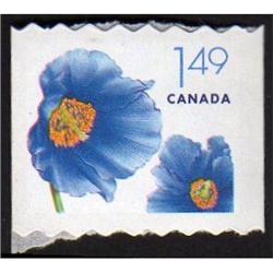 #2131var XF-NH ROSE SHADE ON FLOWER VARIETY ERROR