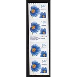 #2131ii-var XF-NH COIL STRIP 4 WITH GUTTER (ROSE SHADE ON FLOWER VARIETY ERROR)