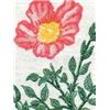 Image 2 : #426var XF-NH BROKEN FLOWER VARIETY ERROR