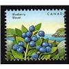 Image 1 : #1349var XF-NH SINGLE WITH MISSING ONE VARIETY