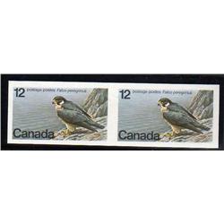 #752var XF-NH IMPERF HORIZ. PAIR - SCARCE & RARE