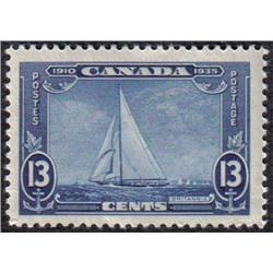 #216 XF-NH JUMBO CAT$21,00