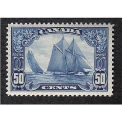 #158 XF-NH PERFECTION BLUENOSE