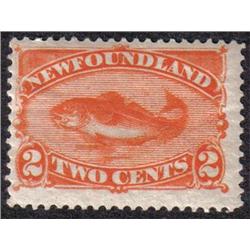 NEWFOUNDLAND #48b F-VF-NH