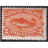 Image 1 : NEWFOUNDLAND #48b F-VF-NH