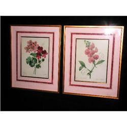 Redoute Botanics Framed French Matted C.1920 #1487837